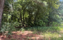5767 FM 2339, Murchison, TX 75778