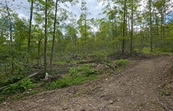416 Ouaquaga Rd, Windsor, NY 13865