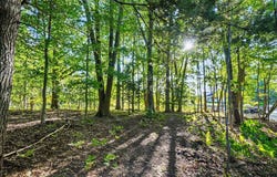 15511 PLESS LANE, SPRING LAKE, MI 49456