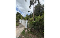 Cedro Abajo, Naranjito, PR 00719