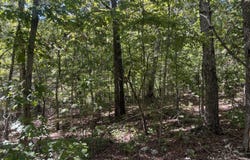 Ridgehaven Road, Mammoth Spring, AR 72554