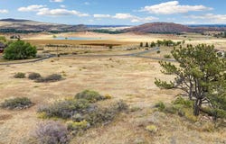 3033 Suri Trl, Bellvue, CO 80512
