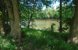 17541 Rangers Landing, Calhoun, KY 42327