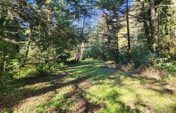 Eighty Acres Rd, GoldBeach, OR 97444