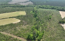 Jones Mill Rd, Emporia, VA 23847