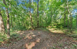 Prospect Road, Carnesville, GA 30521