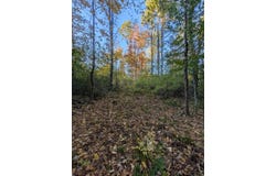 69 Lot 3 New Gloucester Road lot: 3, North Yarmouth, ME 04097