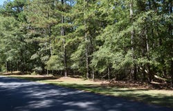 Red Oak Lane, Pine Mountain, GA 31822
