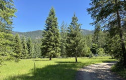 2216 Mosquito Creek Rd, Clark Fork, ID 83811