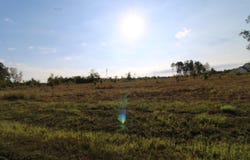 S Sardis Road, Bauxite, AR 72011