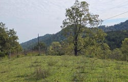 E Pumpkin Valley Road, Eidson, TN 37731