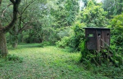 MS HWY 587, Foxworth, MS 39483