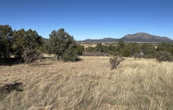 Bolivar Loop lot: 254, Tijeras, NM 87059