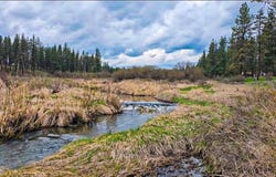 4396 E Highway 231, Springdale, WA 99173