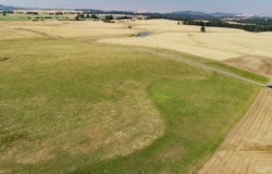 Stuart Road, Parcel A, Orofino, ID 83544