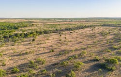 County Road 239, Afton, TX 79220
