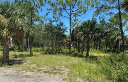 SW Airport Rd, Cedar Key, FL 32625