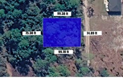 CAROLINA, Paisley, FL 32767