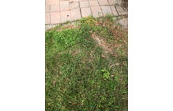 5166 SE White Oleander, West Palm Beach, FL 33415