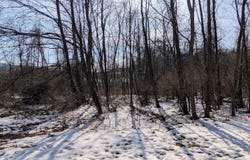 Juniata Mills lot: 8, Everett, PA 15537
