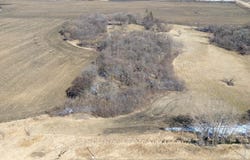 HWY 7, Silver Lake, MN 55381