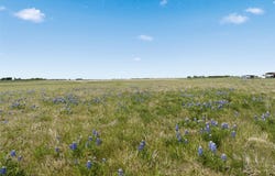 WA Neel Road, West, TX 76691