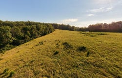 Foxden Drive Lot 2, Gainesville, MO 65655