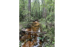 Parcel B Willow Lane, Crestview, FL 32539