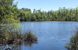 4611 Gunter Road, Milton, FL 32570