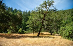 23 Wickersham Ranch Road, Cloverdale, CA 95448