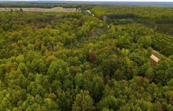 W Sharon Road, Fife Lake, MI 49633