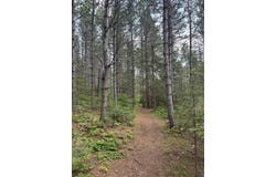 High Ridge Dr, Schroeder, MN 55614