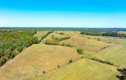 717 Green Valley Ln, Viola, AR 72583