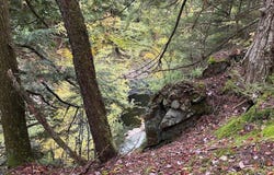 St Rt 8, Cold Brook, NY 13324