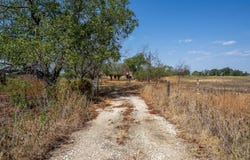 1000 County Road 476, De Leon, TX 76444