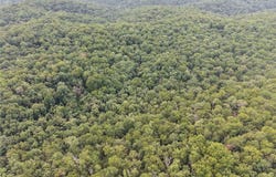 Section 32 Township 29 Range 3, Piedmont, MO 63957
