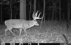 Rochester Rd, Richland, MO 65556