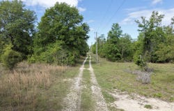 Vacant NE Cedar Trail, Pinetta, FL 32331