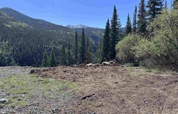Belle Conklin Highway 550, Silverton, CO 81433