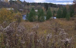 Hardknocks Rd, Unadilla, NY 13849