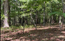 TRACT 2 CHALCREST Way, Cave Spring, GA 30124