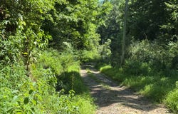 Gluck Run, Glenville, WV 26351