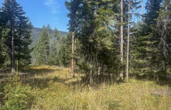 22 Flatiron Way, Thompson Falls, MT 59873