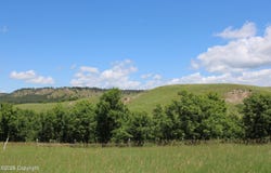 Tract 4 Bay Mountain Rd., Hulett, WY 82720