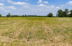 Eagle Court Rd, Diana, TX 75640