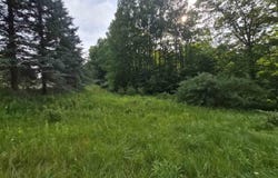 N Crossover Drive lot: A, Bellaire, MI 49615