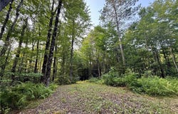 11470 River Road, Camden, NY 13316