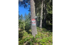 30 Nymark Dr, Cougar, WA 98616