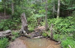 Hatch Run Rd, Warren, PA 16365