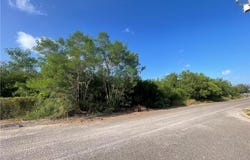 Monterrey Drive, Weslaco, TX 78599